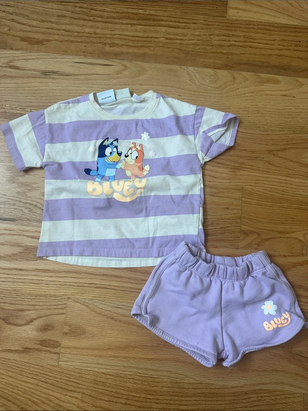 Zara Lavender and Cream Striped Bluey Tee with Lavender Shorts